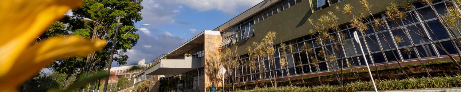 Todos os cursos da PUC Minas avaliados pelo MEC no 1º semestre de 2025 recebem conceito máximo 